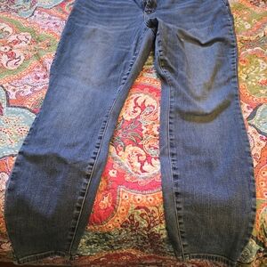 Judy Blue Dark Blue Skinny Jeans